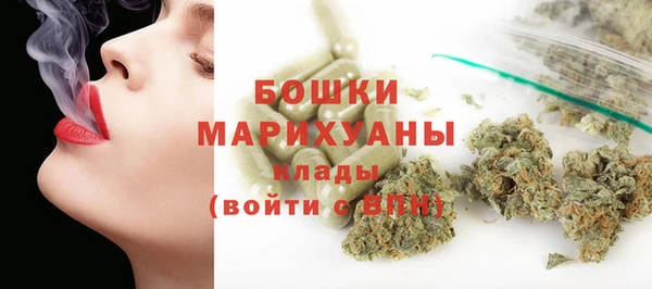 метадон Елизово