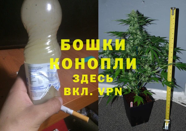 тгк Елабуга