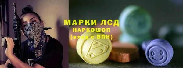 спайс Ельня