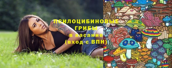 тгк Елабуга