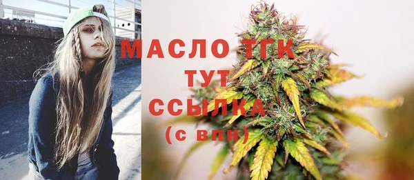 спайс Ельня